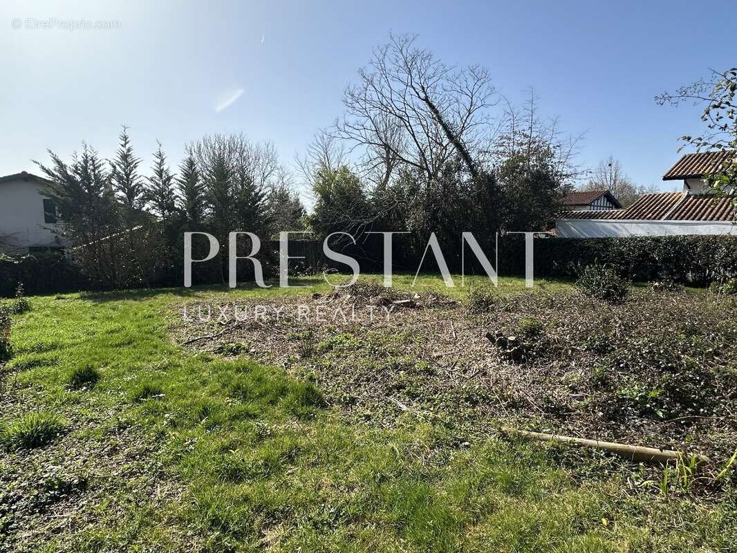 Terrain à BASSUSSARRY