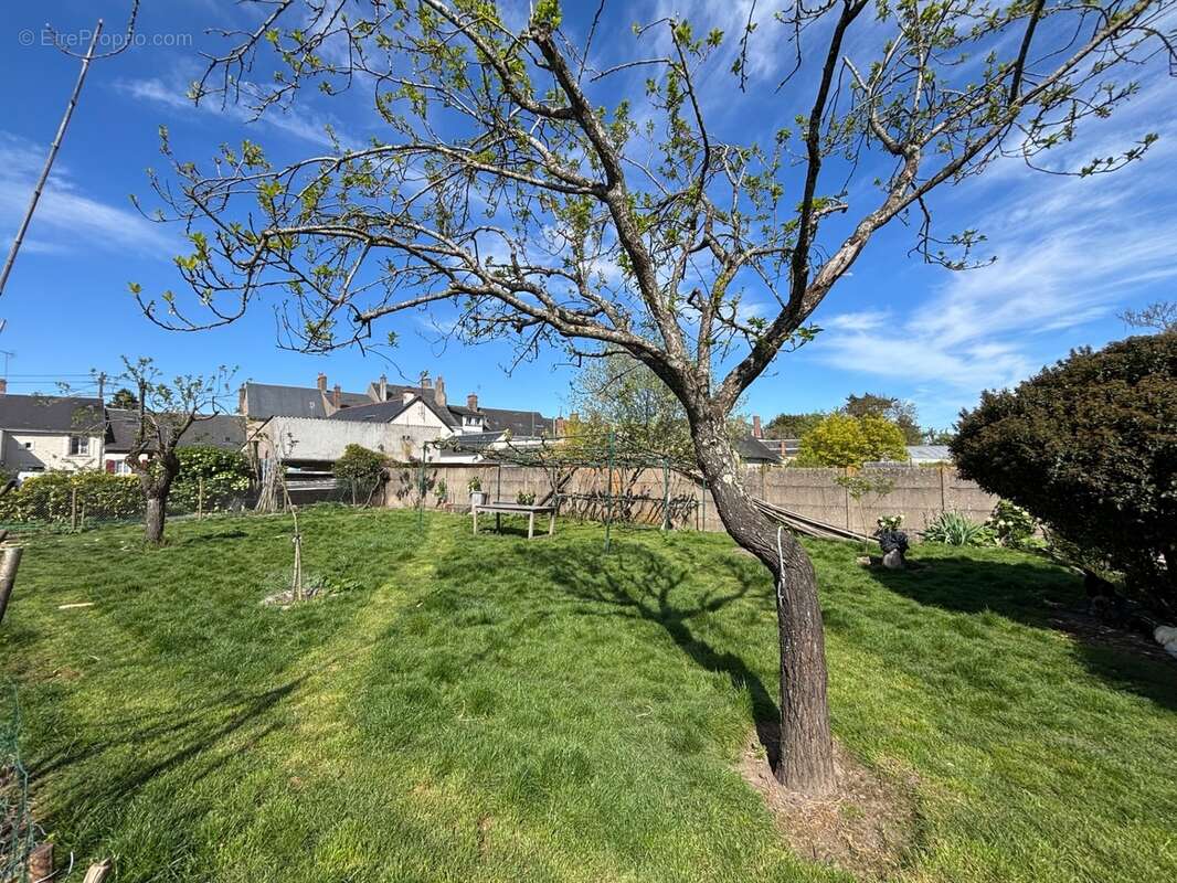 Terrain constructible à vendre à CHEVILLY (45) - photo 2