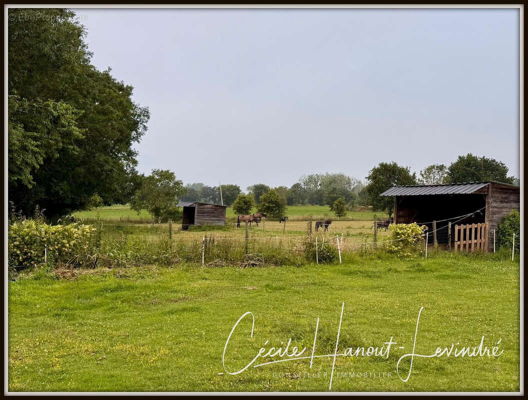 AUCEY LA PLAINE- Proche Mt St Michel-  Ensemble immo Maison: 270 m2 hab. + Dépendances pierre + Terrain 1,7 ha - photo 27