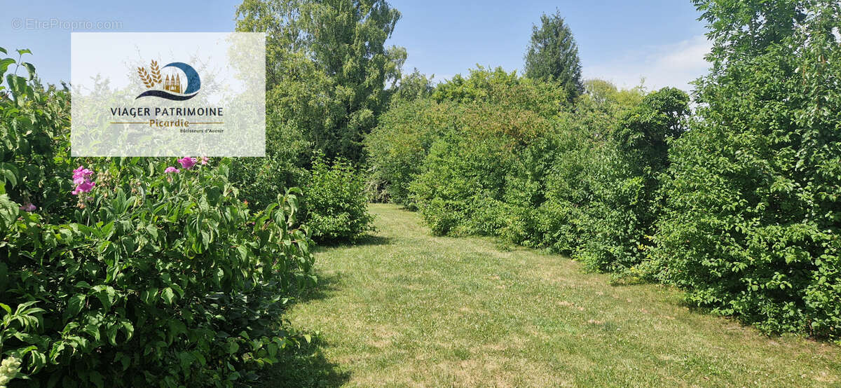 Exclusivité - Maison familiale 102 m2 et jardin 400 m2 - Quartier Saint Pierre - photo 7