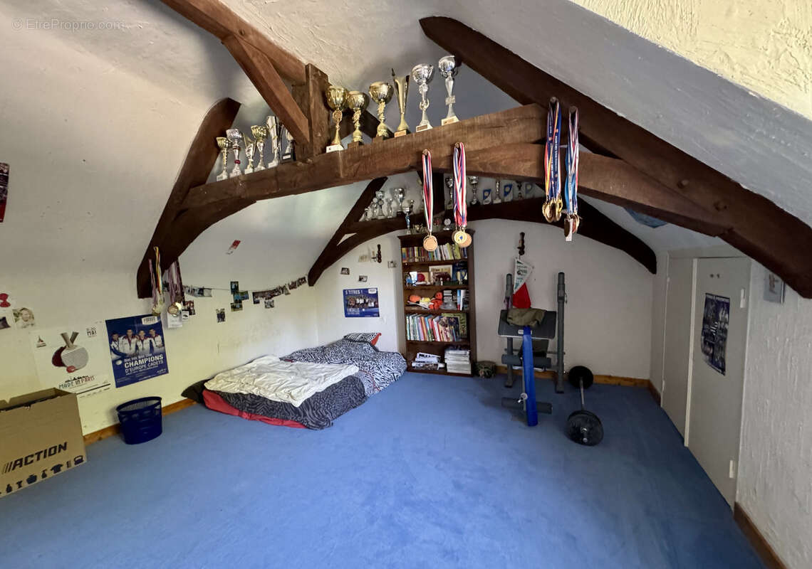 Longère 8 pièces avec piscine et dépendances - photo 19