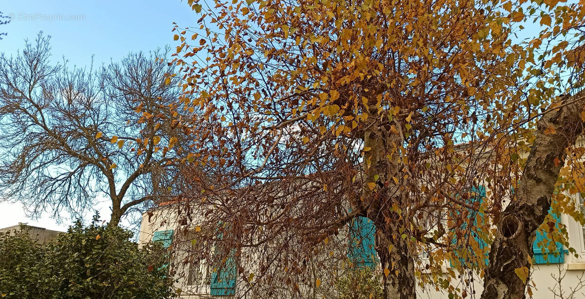 Maison à BEAUVOIR-SUR-MER