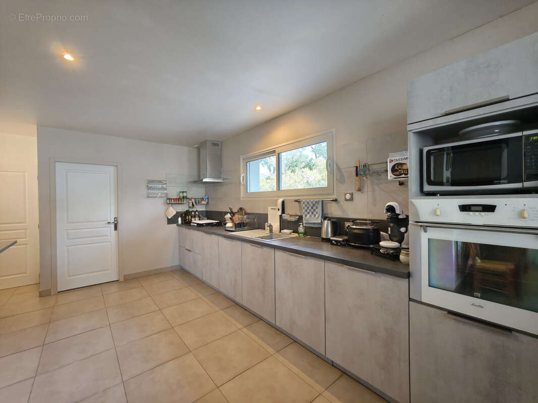 Autre à PRUNELLI-DI-FIUMORBO