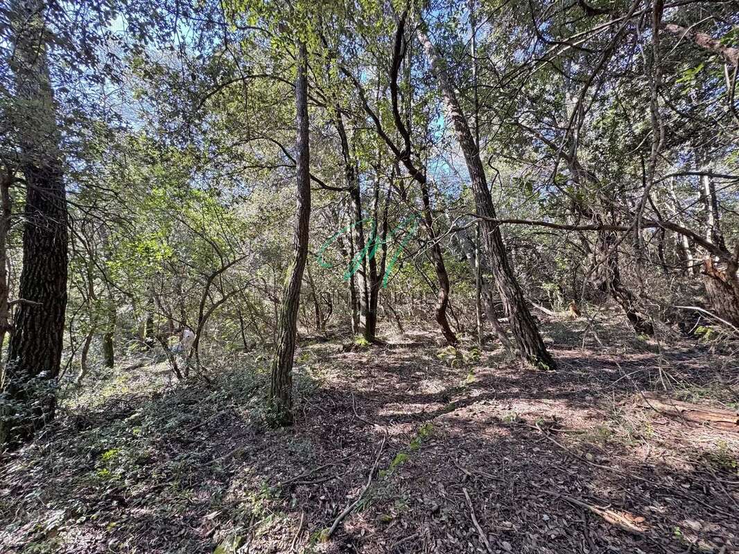 Terrain à LE ROURET