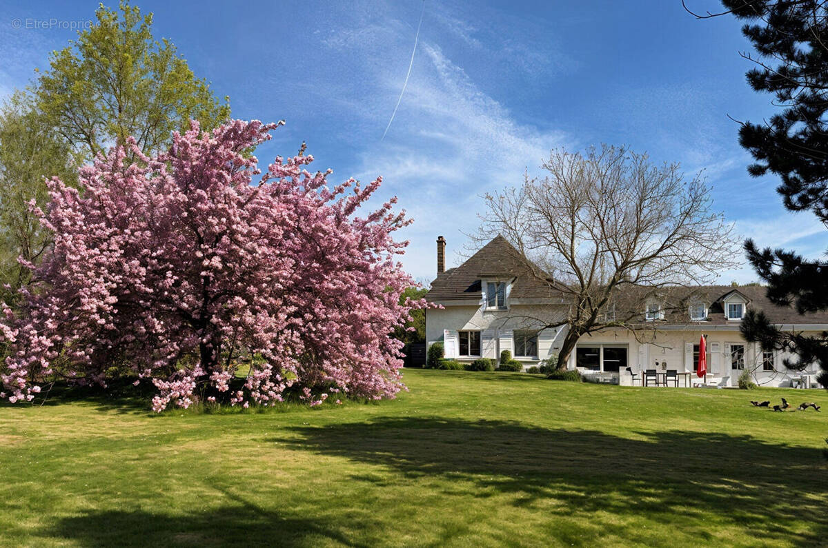 Maison à SAINT-MARTIN-DES-CHAMPS
