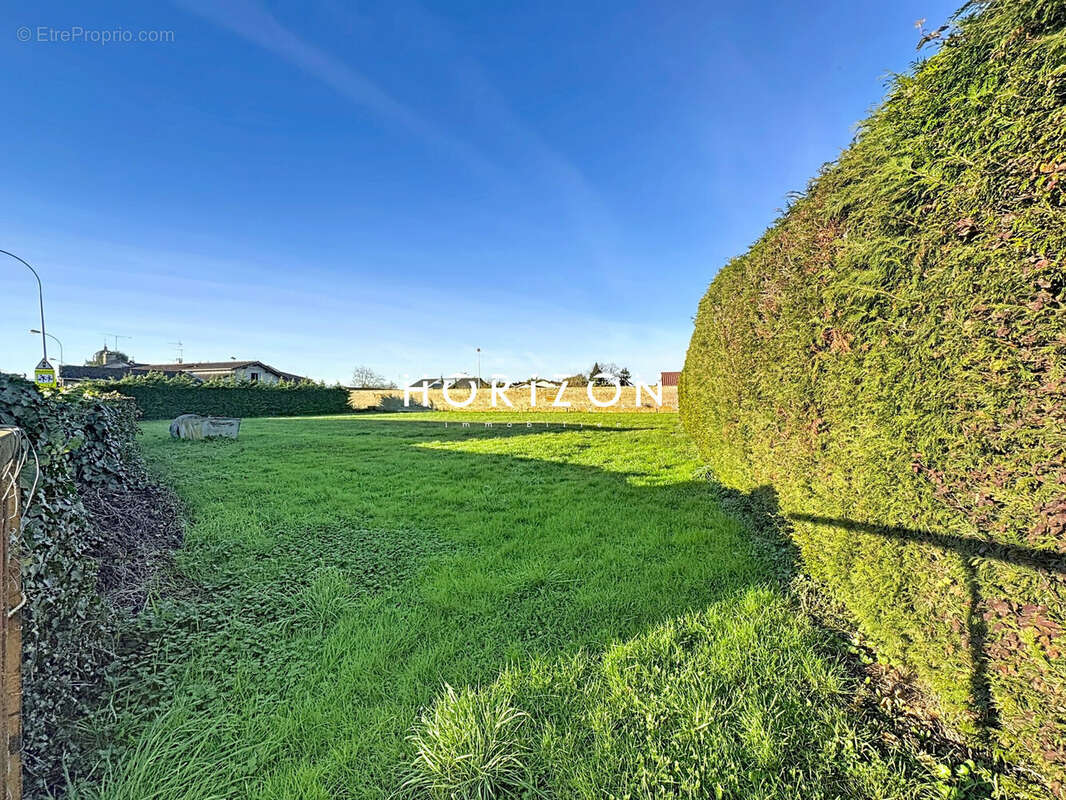 Terrain à SAINT-DIDIER-SUR-CHALARONNE
