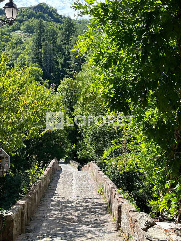 Appartement à CONQUES