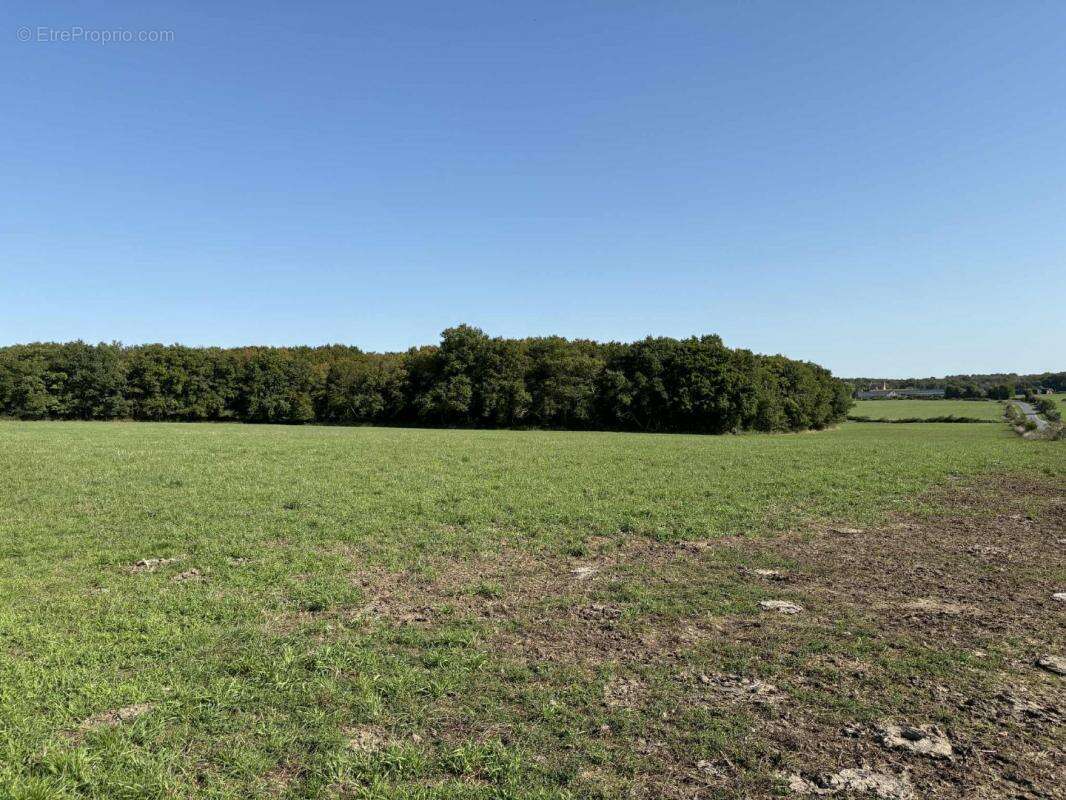 Terrain à NEUILLAY-LES-BOIS