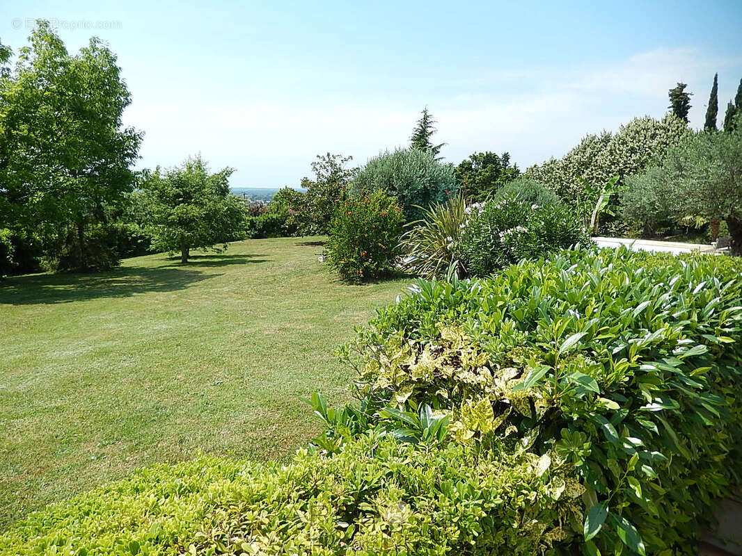 Tonneins - Villa d'architecte atypique ! - photo 33