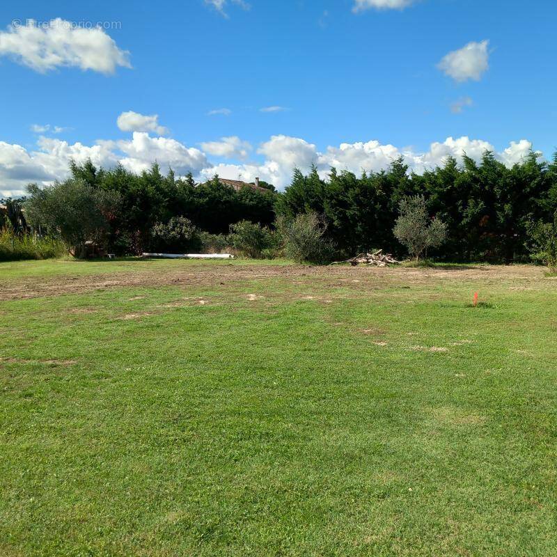 Terrain à COURTHEZON