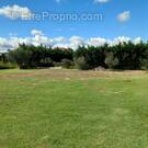 Terrain à COURTHEZON