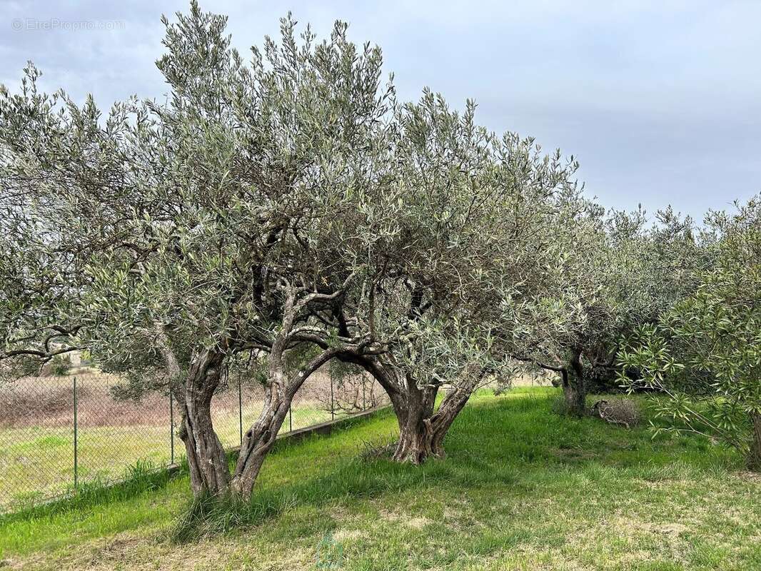 Maison à MEJANNES-LES-ALES