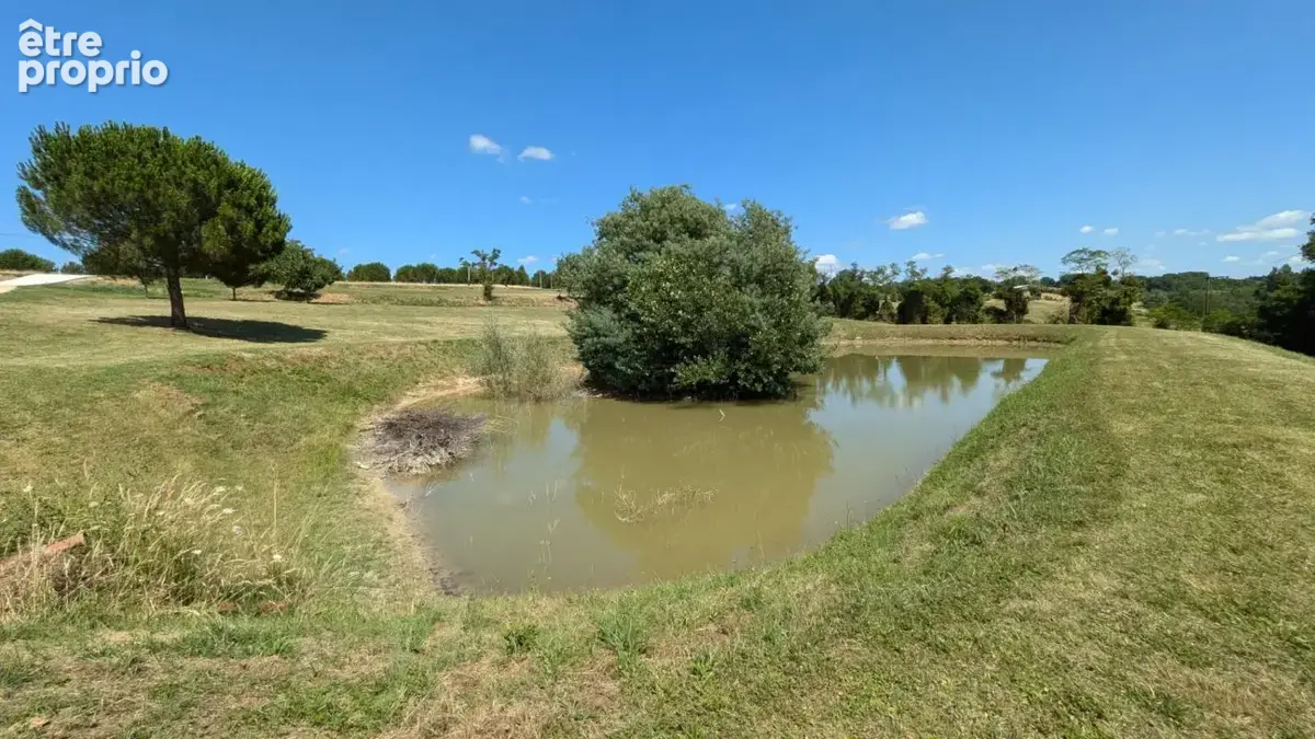 Maison de 350m² avec piscine et dépendances sur 2ha - photo 4