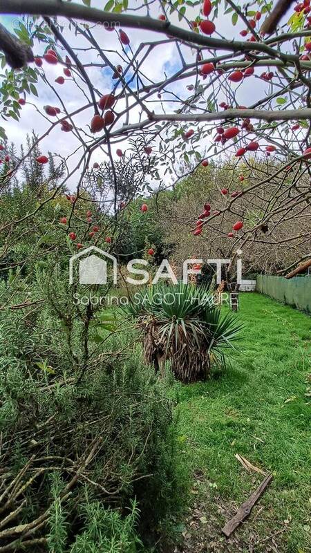 Photo 1 - Maison à ISSOUDUN