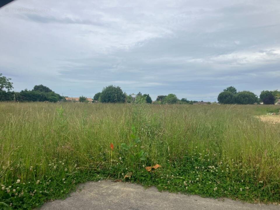 Terrain à SAINTE-BAZEILLE