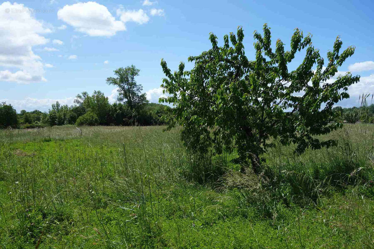 Maison en pierre à rénover avec dépendances et grand terrain de 5200m2 - photo 9