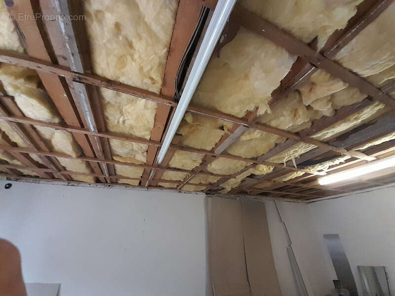 Maison à vendre 10 pièces URBEIS (67) - photo 5