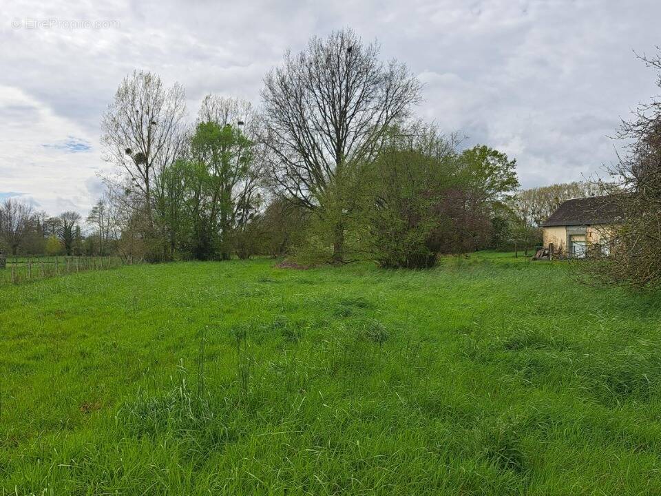Terrain à TELOCHE