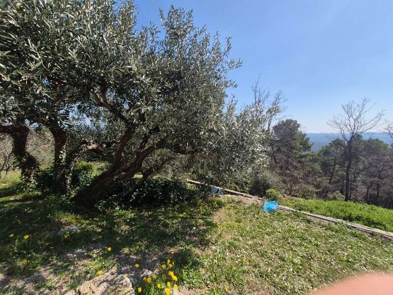 SEILLANS (83) Propriété à vendre. 740 000 € - photo 9