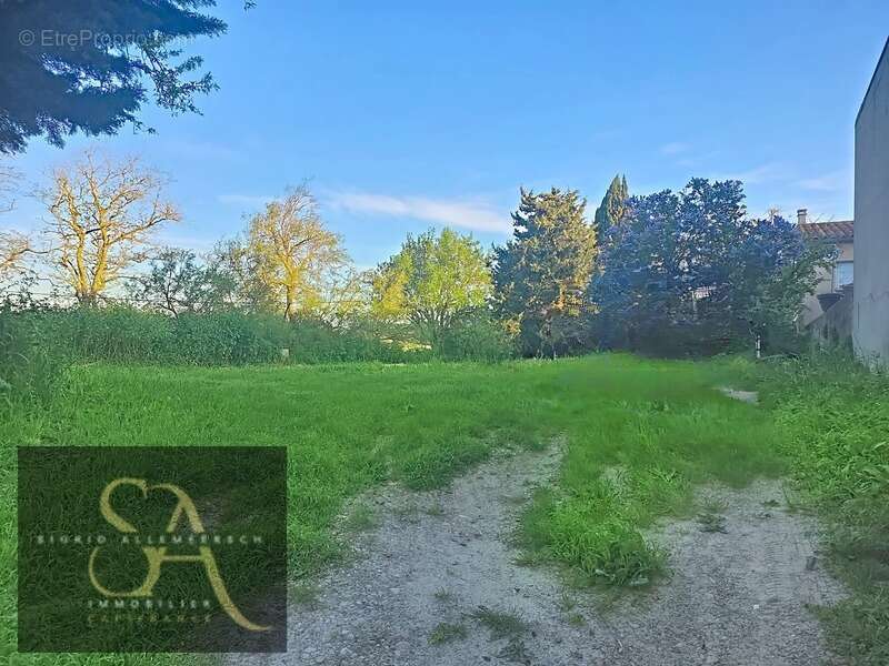 À vendre – Terrain de 560 m² à Montclar (11) - photo 4