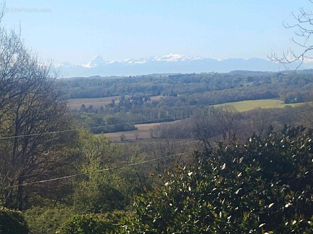 VENTE :   Domaine d'Exception à SARRAZIET - photo 14