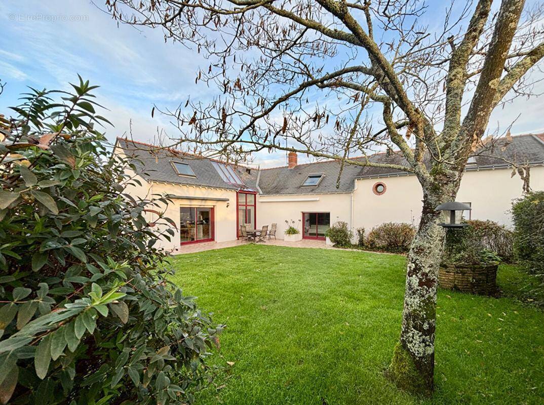 Maison à COUFFE