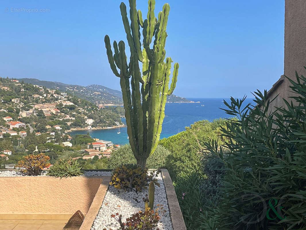 Maison à LE LAVANDOU