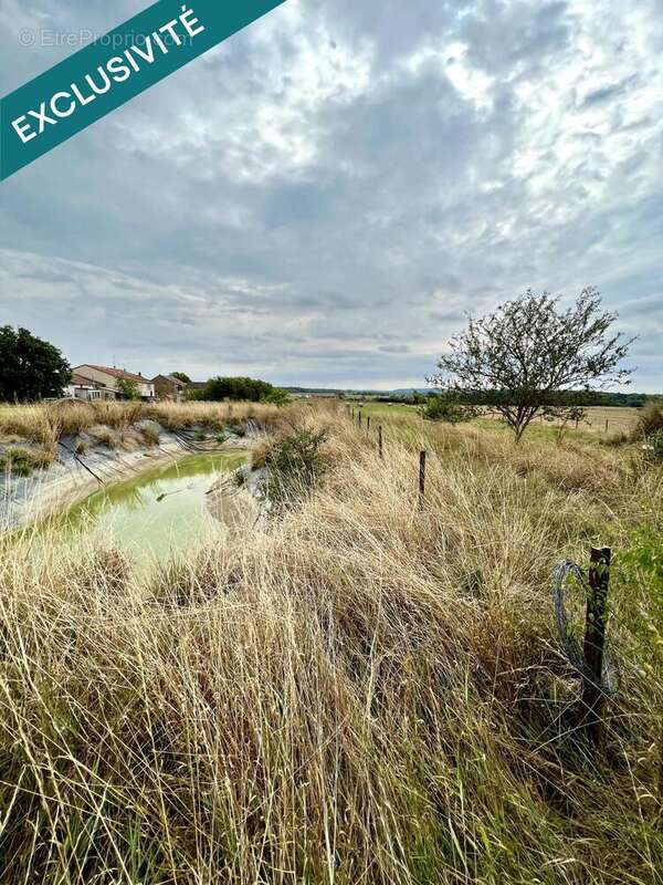 Photo 8 - Appartement à MANGIENNES