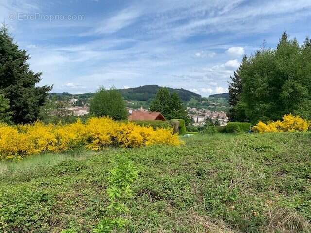 Terrain à CHAUFFAILLES