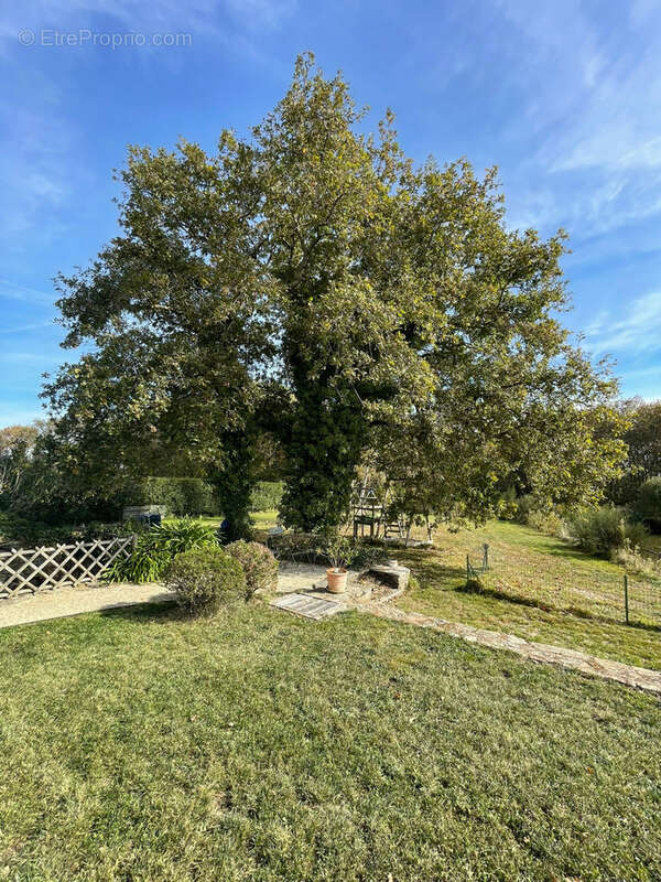 Maison à SAINT-MICHEL-CHEF-CHEF