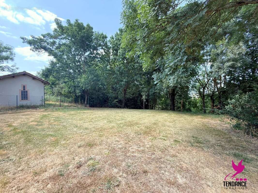 Terrain à PELLEPORT