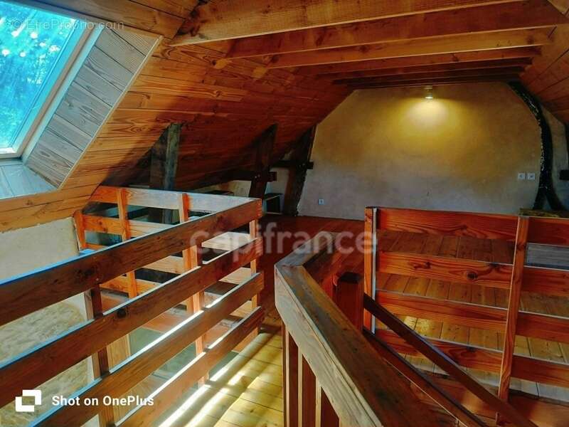 Maison en pierre – 2 500 m² de terrain – Calme absolu et nature - photo 15