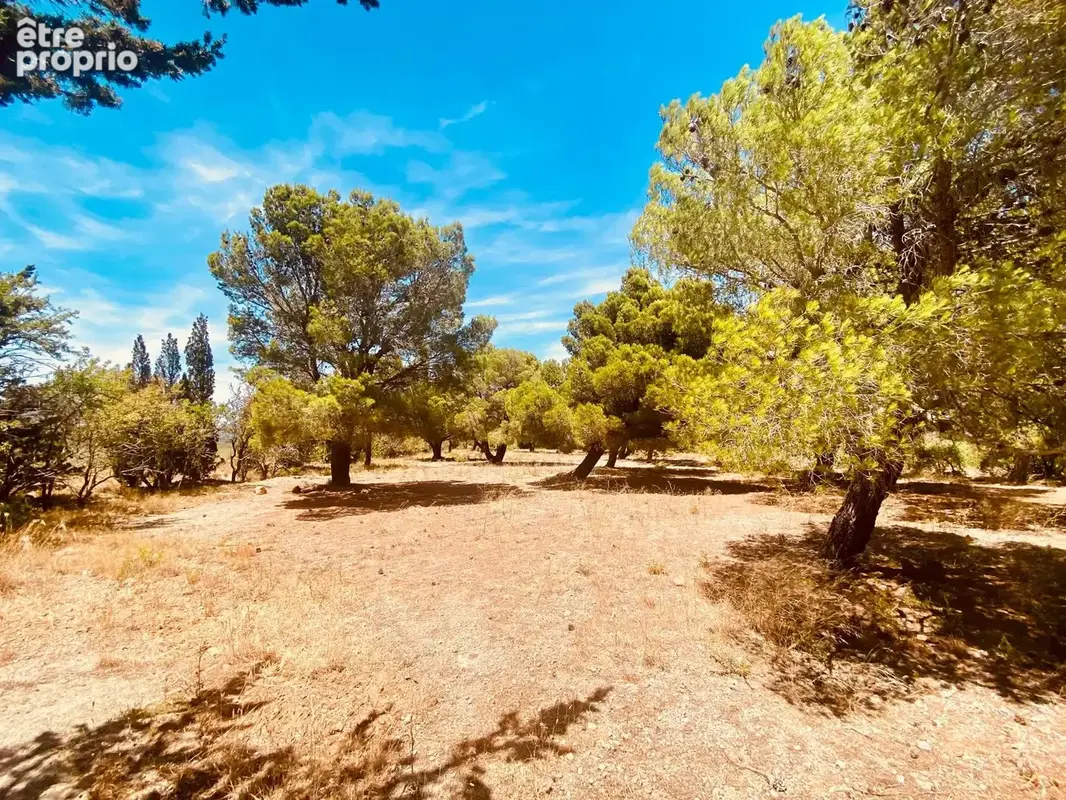 La Palme   Magnifique propriété de caractère au cœur de la nature, à moins de 10 minutes de la mer - photo 57