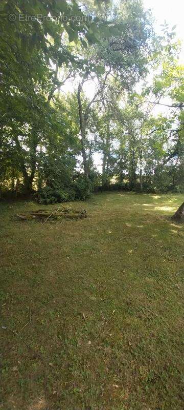 Maison à HAUTEVELLE