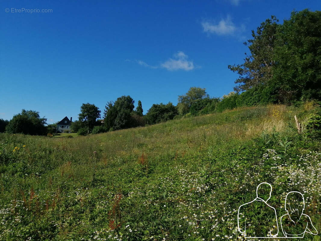 Terrain à SAINT-SYMPHORIEN