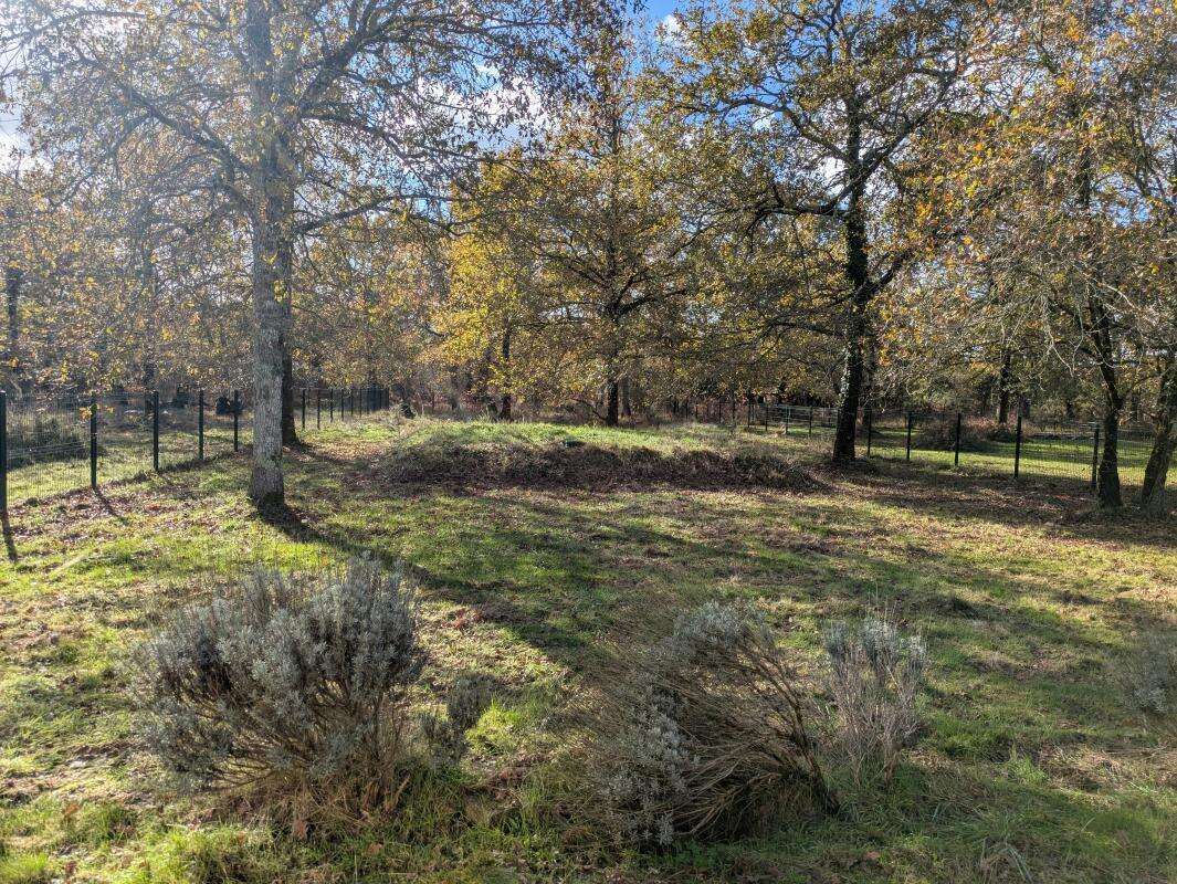 Maison à NAUJAC-SUR-MER