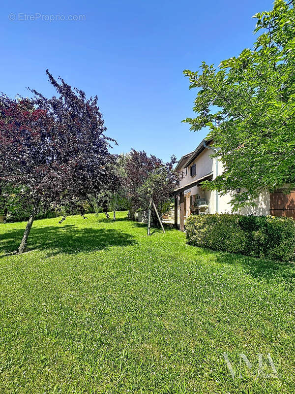 Maison à CHAZAY-D'AZERGUES