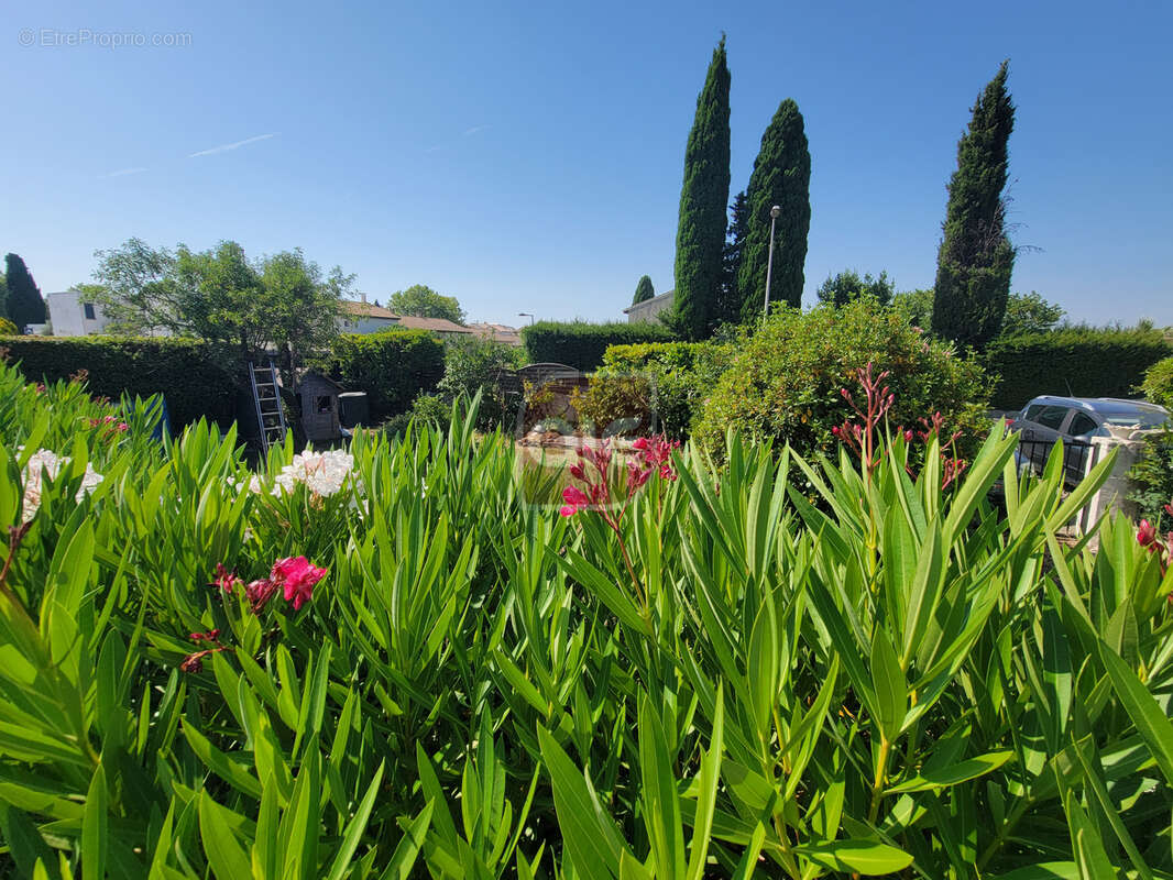 Villa de plain pied proche de toutes les commodités - photo 17