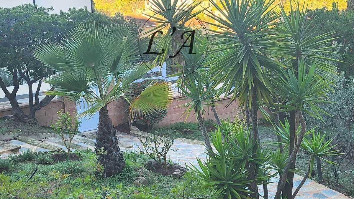 Maison à PIETROSELLA