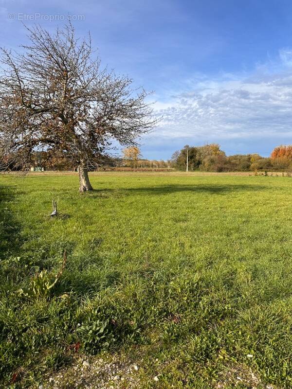 Terrain à SAINTE-FLORENCE