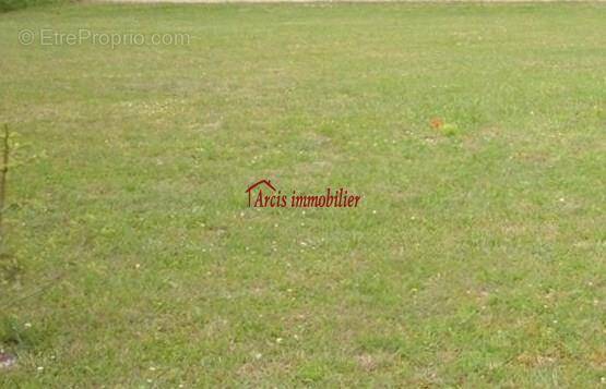 Terrain à PLANCY-L&#039;ABBAYE