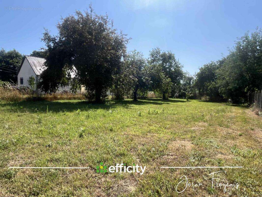 Terrain à SAINT-MARC-LE-BLANC