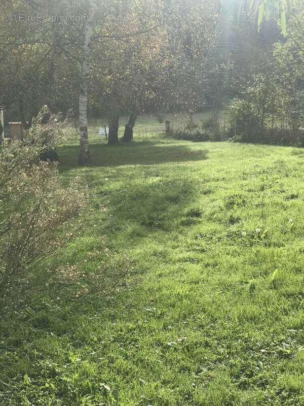 Terrain à ARDIEGE