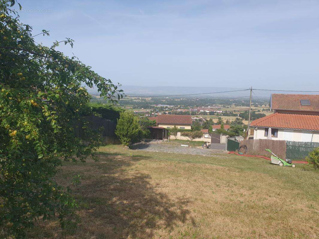 Terrain st galmier - photo 2