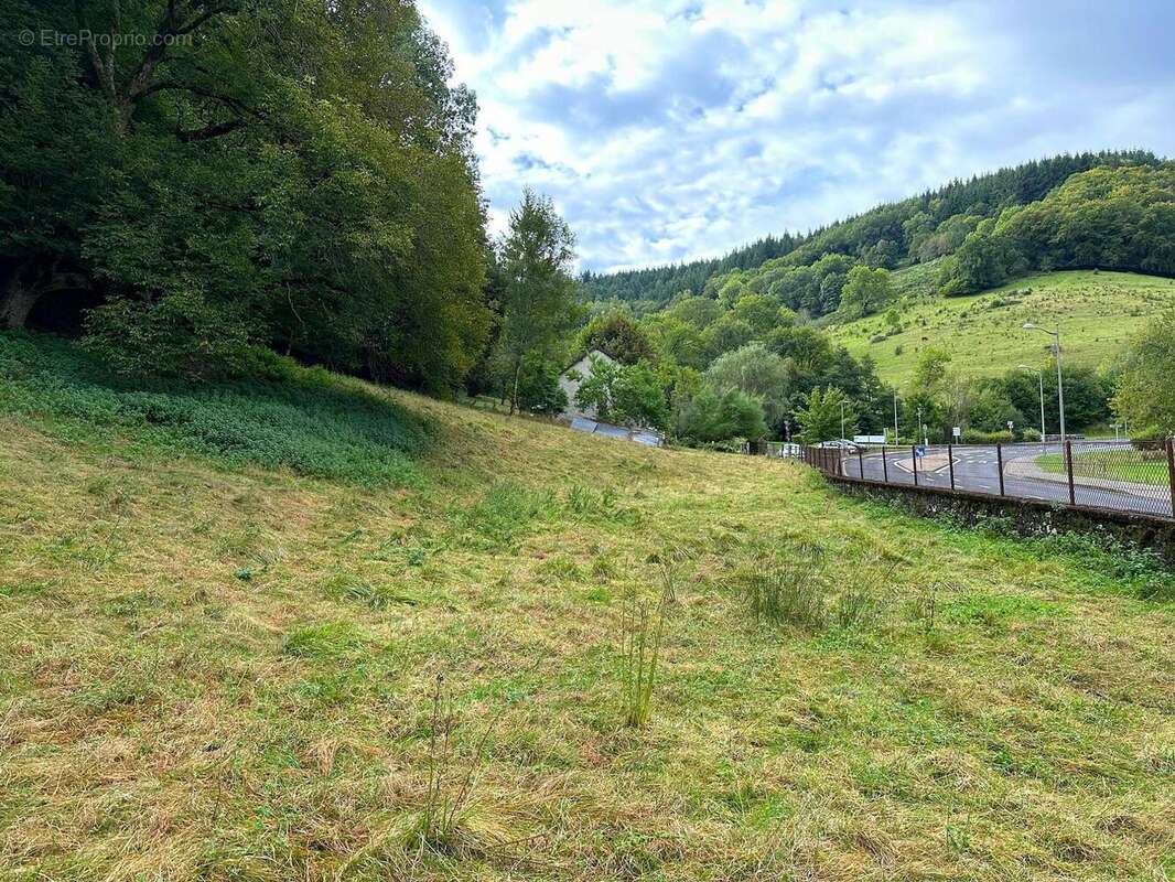 Terrain à SAINT-MARTIN-VALMEROUX