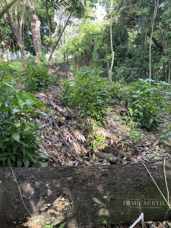 Terrain à GOURBEYRE