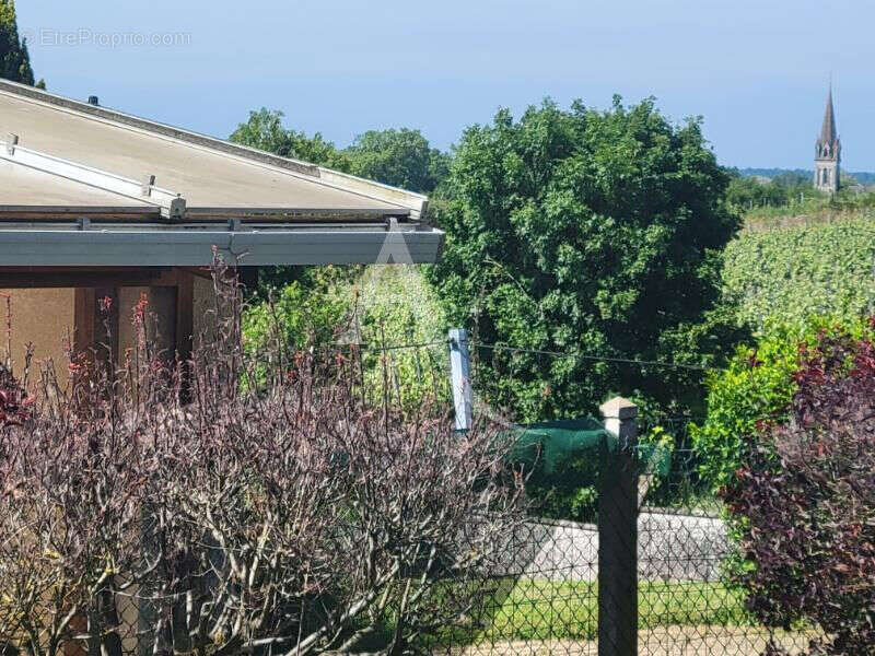 Maison à CHALONNES-SUR-LOIRE