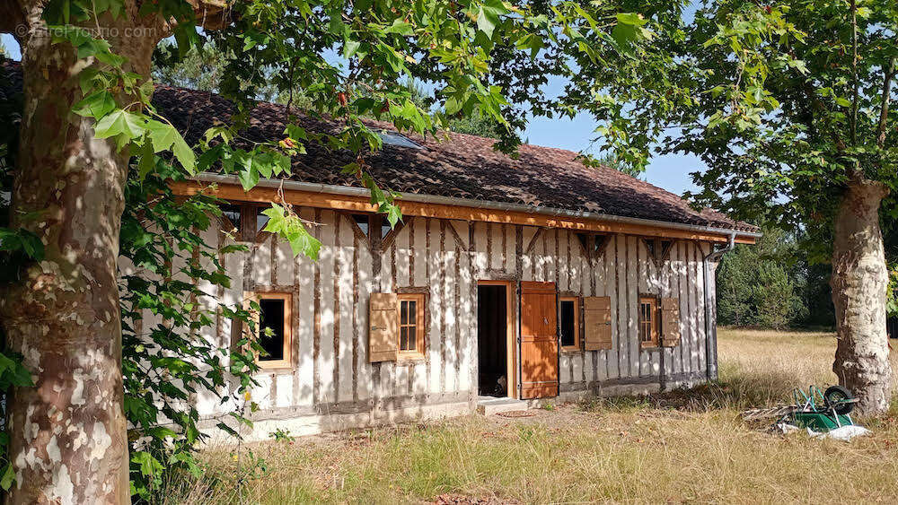 Onesse-laharie - photo 2