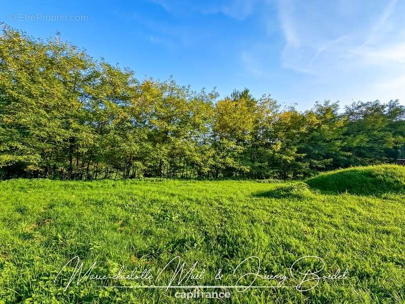 Maison à PONT-DE-VAUX