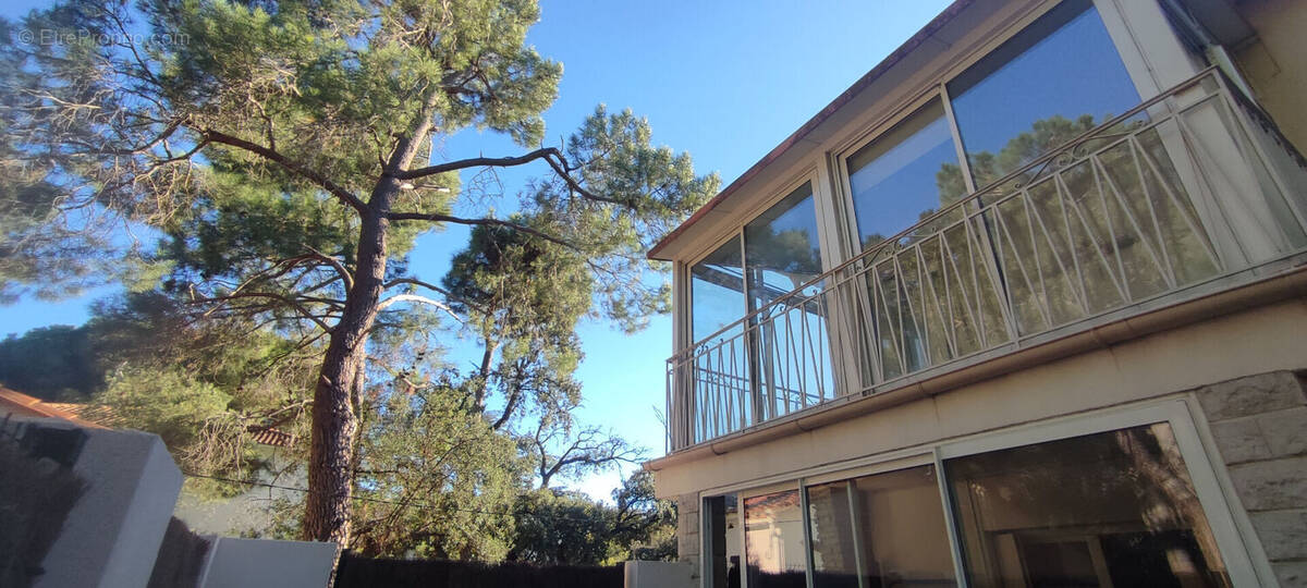 Maison à ARGELES-SUR-MER